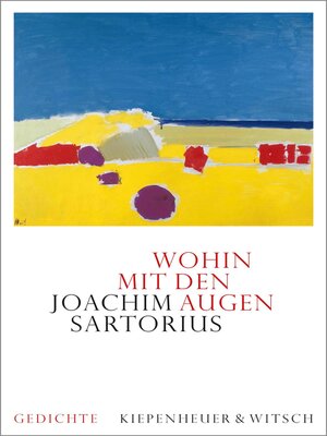cover image of Wohin mit den Augen